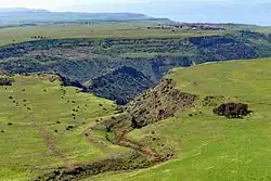 Gamla in springtime