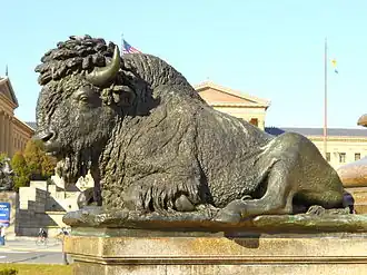 American bison