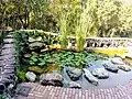 The garden pond