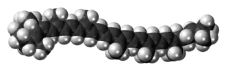 Space-filling model of the γ-carotene molecule