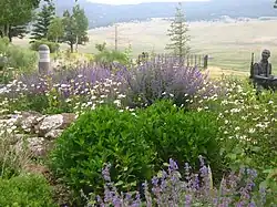 A garden in the park