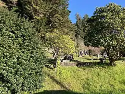 The Gardiner cemetery
