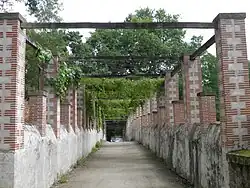 Brick and wood trellis partially covered with virgin ivy.
