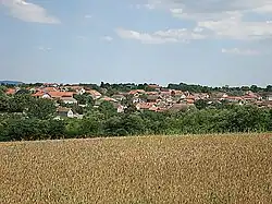 Overview of Garevo