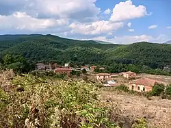 Gavros