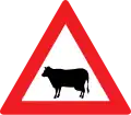 13a: Animals (cow)