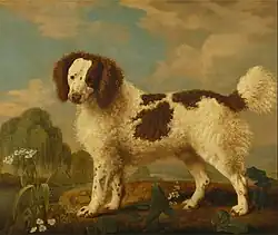 Brown and White Norfolk or Water Spaniel (1778), oil on panel, 80.6 x 97.2&nbsp;cm., Yale Center for British Art