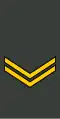 სერჟანტი Serzhant’i (Georgian Land Forces)[71]
