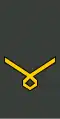 უფროსი სერჟანტი Uprosi serzhant'i (Georgian Land Forces)[21]