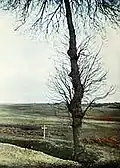 The lonely cross and charred tree were used by Courtellemont for dramatic effect.