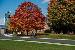 view of the jaeger center with tree with autumn foliage
