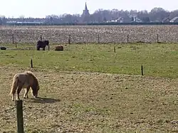 View on Tienray