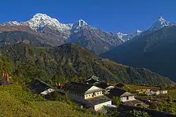 A view of Annapurna range includes Annapaurna South (far left), Himchuli (Heuchuli), Gangapurna and Macchapucchre (Fishtail, dog or tiger) on far right from Ghandruk