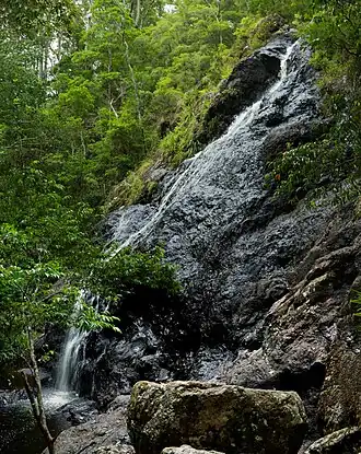 Gheerulla Falls, 2020