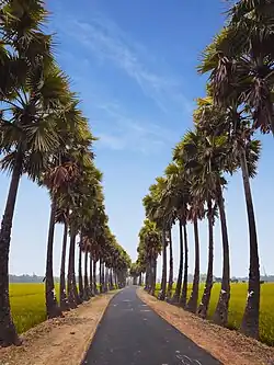 Ghughudanga, Niamatpur upazila