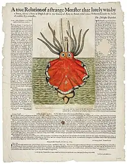#3 ( 15/10/1673), Broadsheet covering the giant squid stranded at Dingle, Ireland, around 15 October 1673 (Hooke et al., 1674). Steve O'Shea commented that though the animal depicted "doesn't look true to any squid, it is probably more similar to a cranchiid than it is to an architeuthid".