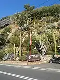The Pallanca exotic gardens