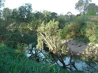 Logan River at Gieseman Park, 2014