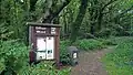Gillham Woods