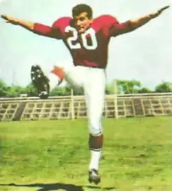 Gino Cappelletti caught 49 passes for 865 yards for seven touchdowns while also serving as kicker for 25 successful field goals to unanimously win the 1964 MVP.[11]