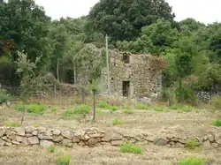 The U Troghju Comunu, which is the ancestor of the wine cooperatives, in Giuncheto