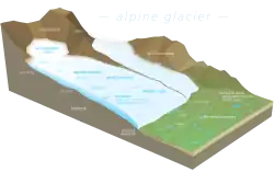 The accumulation zone is found at the highest altitude of the glacier, where accumulation of material is greater than ablation.