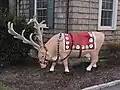 Gladys as a Reindeer.