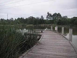 Blue Hills Wetland