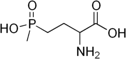 Skeletal formula of glufosinate