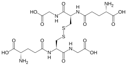 2D representation of the chemical structure of Glutathione disulfide .
