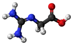 Ball and stick model of a glycocyamine minor tautomer