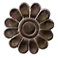 Water lily