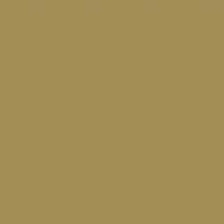 The cover art features a plain, monochromatic, metallic gold background.