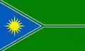 Flag of Holovanivsk Raion