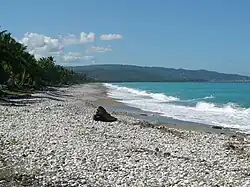 Gommier, Haiti