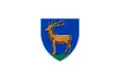 Flag of Gorj County
