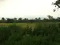 Northern fields View