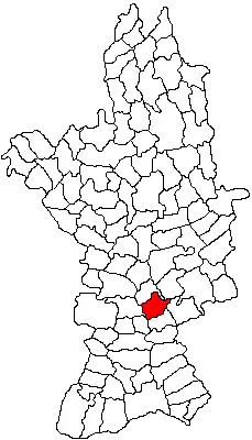 Location in Olt County