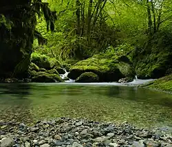 The upper part of the River Arros at Asque