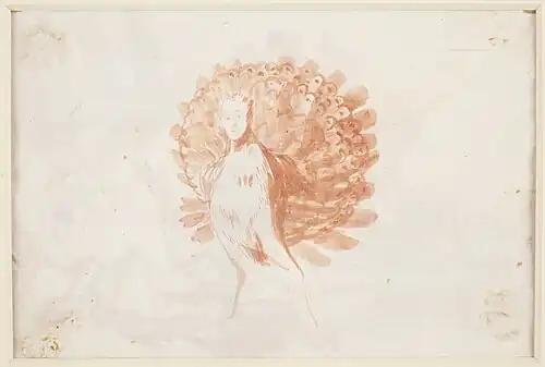 El pavo real vanidoso