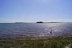 Græsholm og Svelmø