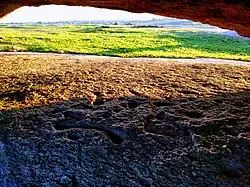 Rock art carvings