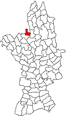 Location in Olt County