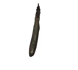 Seed