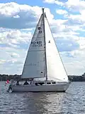 Grampian 26