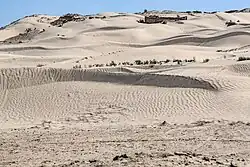 Dune landscape near Douz, Tunisia