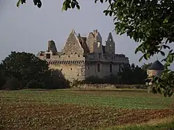 Ruins of Château du Grand-Riou
