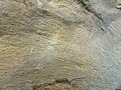 A greywacke rock