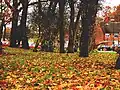 Autumn in Gravel Hill