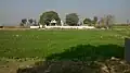 The graveyard of Todarpur